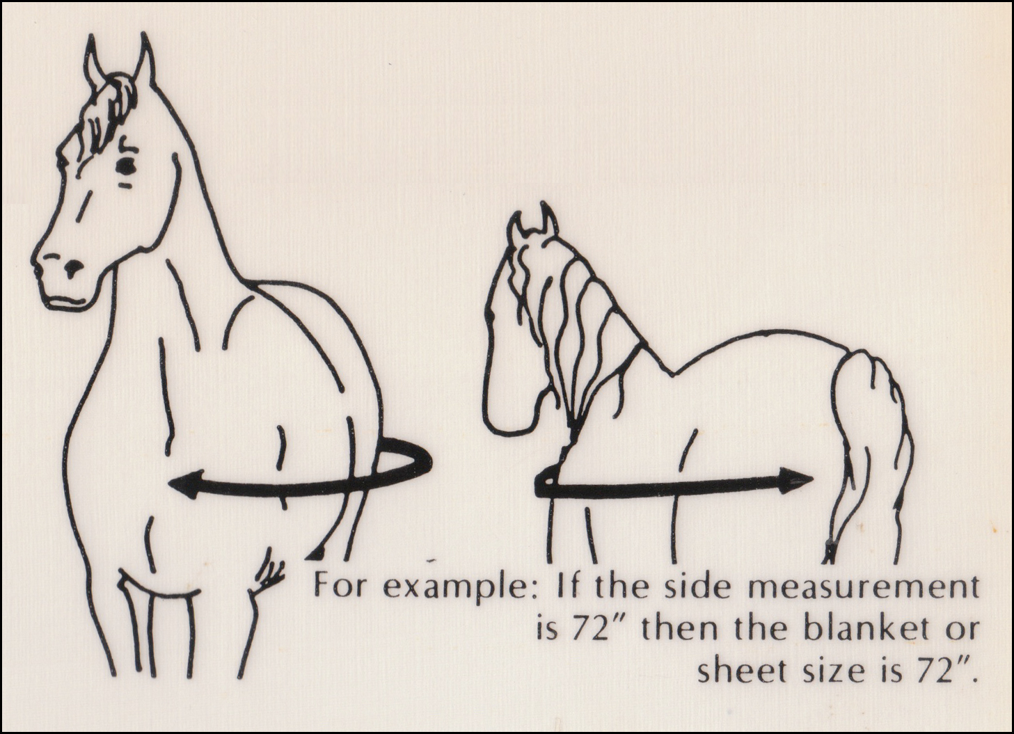 Here is how toHere is how tomeasureyourHere is how toHere is how tomeasureyourhorseto find aHere is how toHere is how tomeasureyourHere is how toHere is how tomeasureyourhorseto find ahorse blanketthat will fit properly. Keep your hores safe and more comfortable with properHere is how toHere is how tomeasureyourHere is how toHere is how tomeasureyourhorseto find aHere is how toHere is how tomeasureyourHere is how toHere is how tomeasureyourhorseto find ahorse blanketthat will fit properly. Keep your hores safe and more comfortable with properblanketfit.